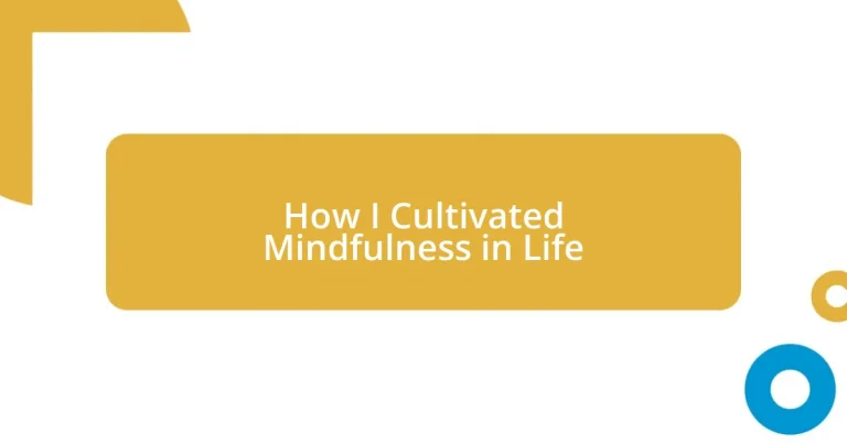 How I Cultivated Mindfulness in Life