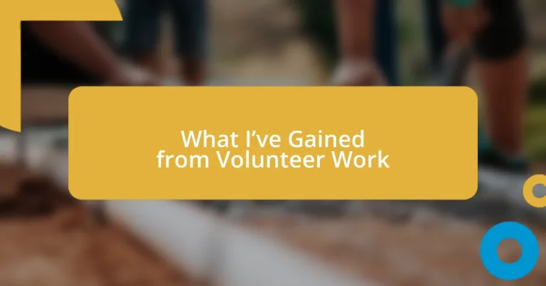 What I’ve Gained from Volunteer Work